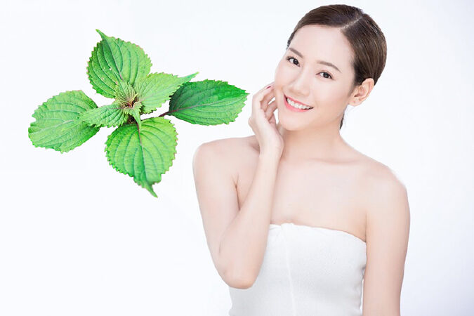 Chống oxy hóa cho cơ thể