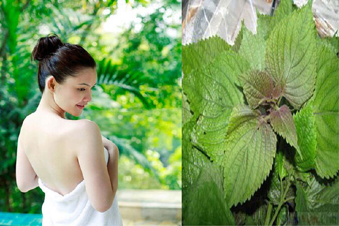 Hỗ trợ chống lại dị ứng và viêm nhiễm