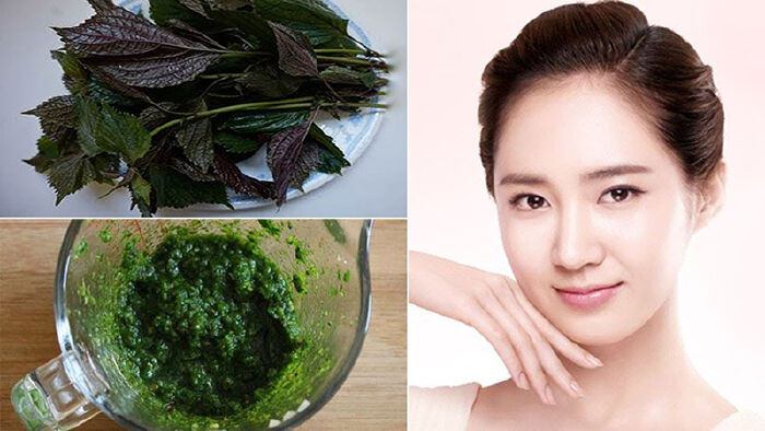 Tác dụng của lá tía tô với da
