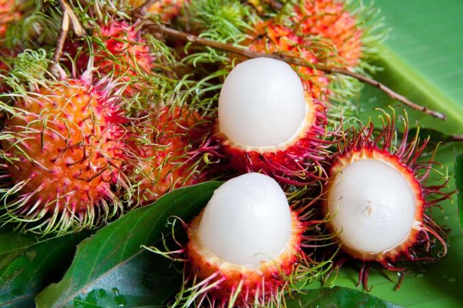 Trái cây miệt vườn