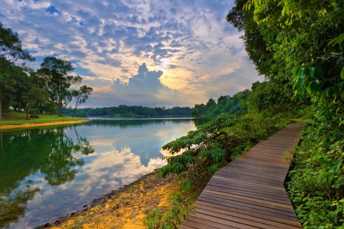 Công viên MacRitchie