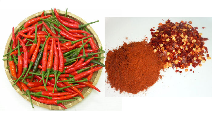 Chống đỡ lạnh