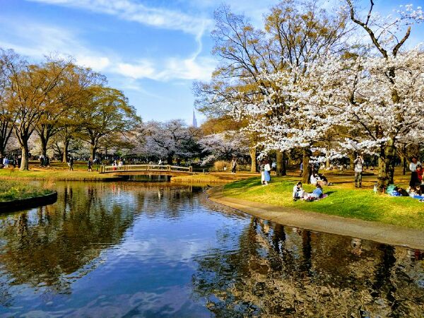 Công viên Yoyogi