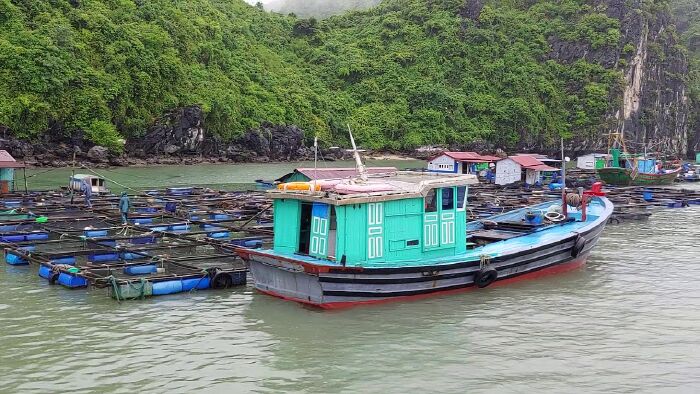 Làng chài Cái Bèo