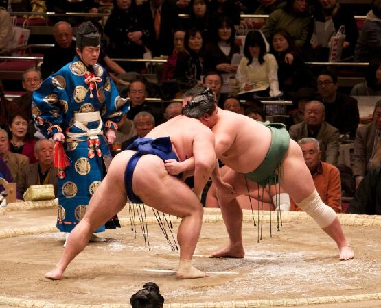 Nhà thi đấu Sumo