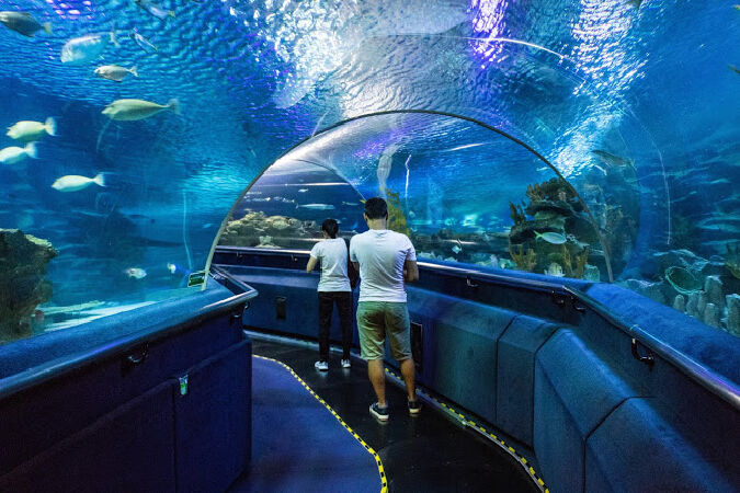 Thủy cung Kuala Lumpur – Aquaria KLCC