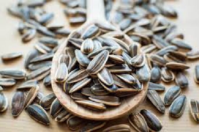 Giúp xương chắc khỏe