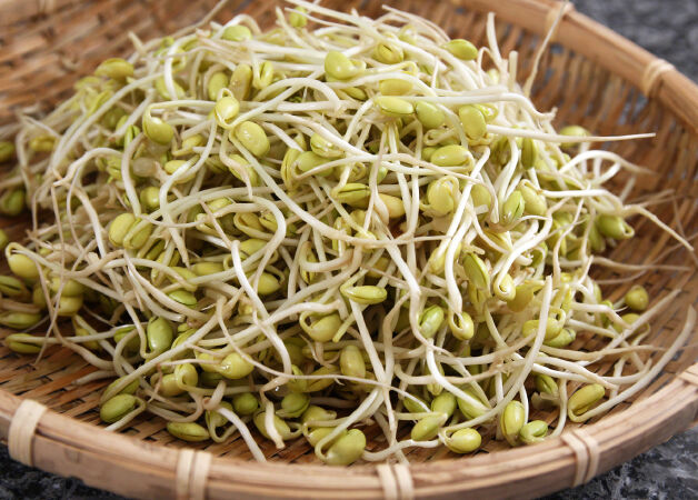 Cải thiện sự trao đổi chất