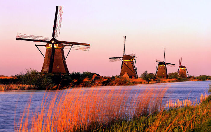 Ngôi làng cối xay gió độc nhất vô nhị: Zaanse Schans