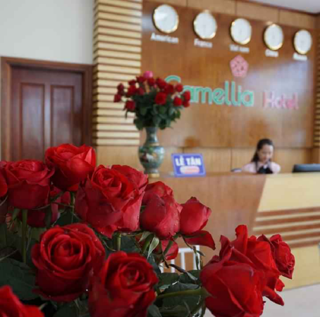 Khách sạn Camellia