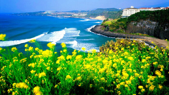 Đảo Jeju, Hàn Quốc
