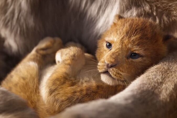 The Lion King (19/7)