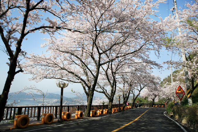 JINHAE
