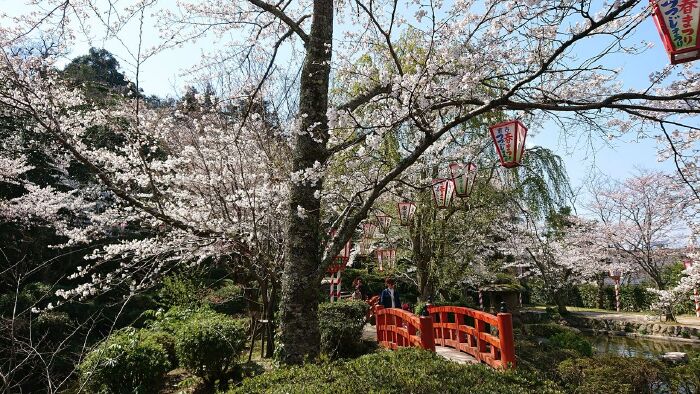 Miyazaki Saitobaru Kofungun