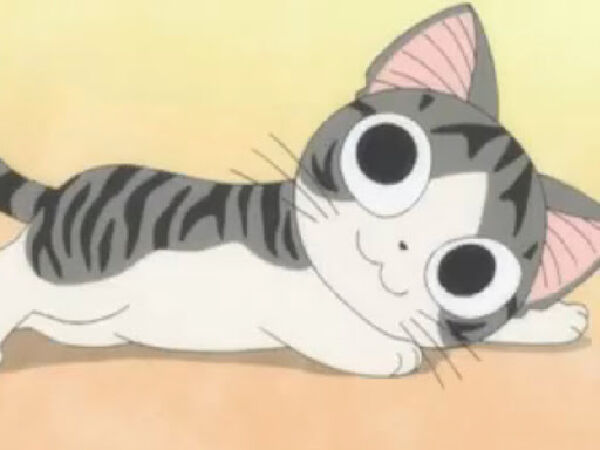 Chi (Chi’s sweet home)