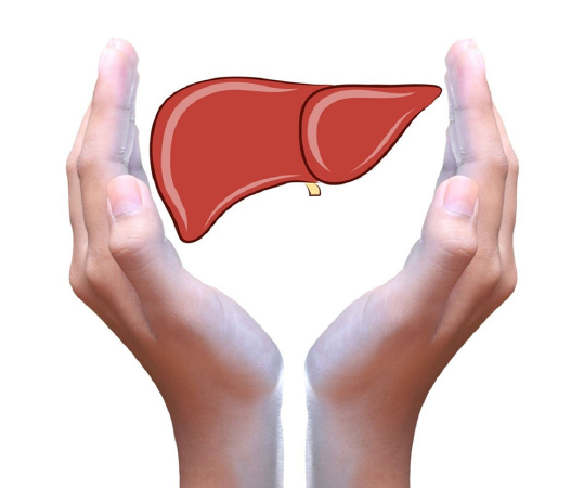 Giải độc mát gan