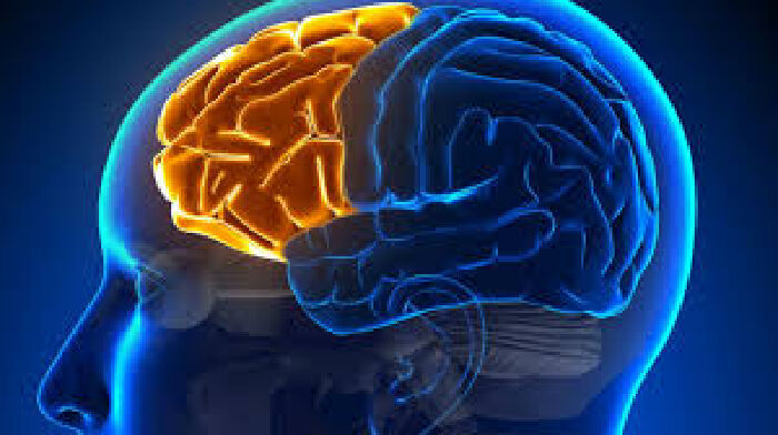 Giúp tăng cường trí nhớ
