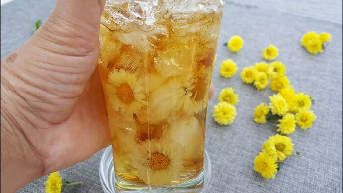 Nước bông cúc nhãn nhục