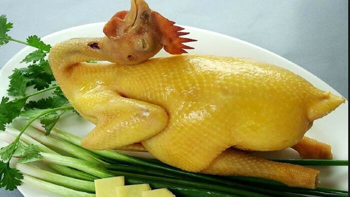 Thịt gà
