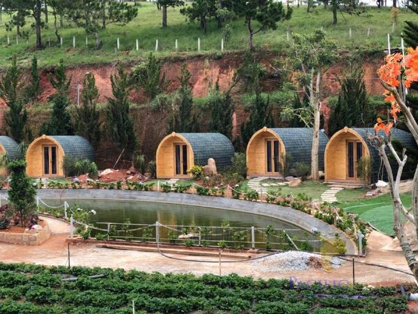 Valley Homestay