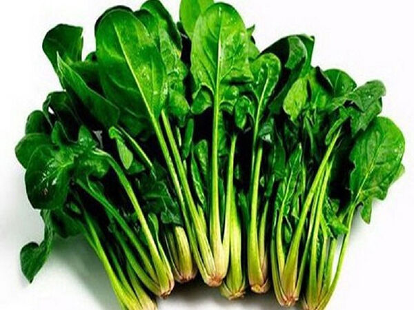 Rau chân vịt