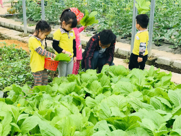 Trường Mầm non song ngữ thực hành Talent Kids