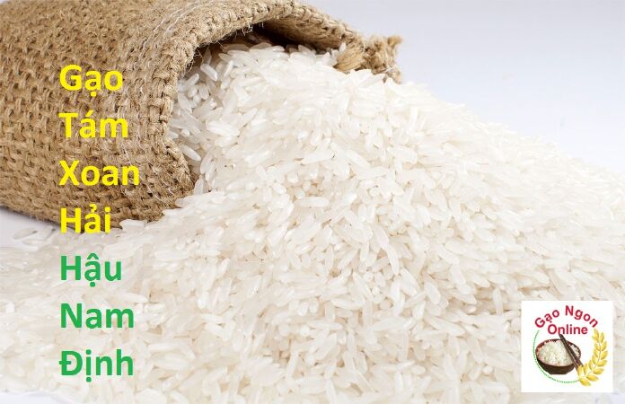 Gạo Tám xoan Hải Hậu