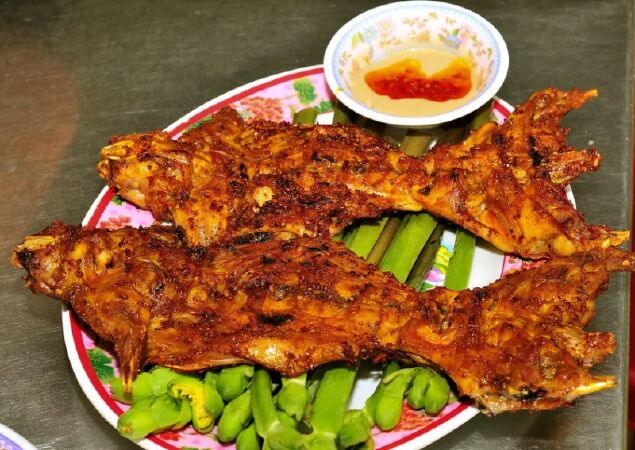 Chuột đồng