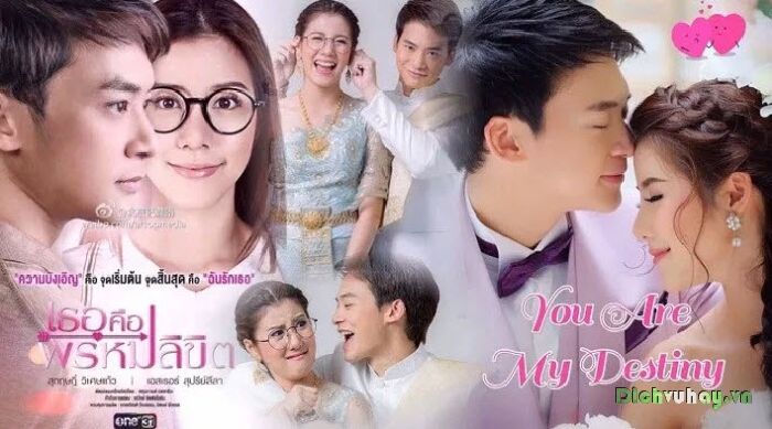 Phim Em Là Định Mệnh Của Anh