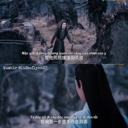 Kệ y đi đường dương quan rộn ràng náo nhiệt của y, ta đây cứ đi cầu độc mộc của ta…