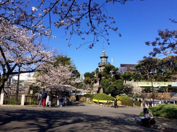 Tokyo, Nhật Bản
