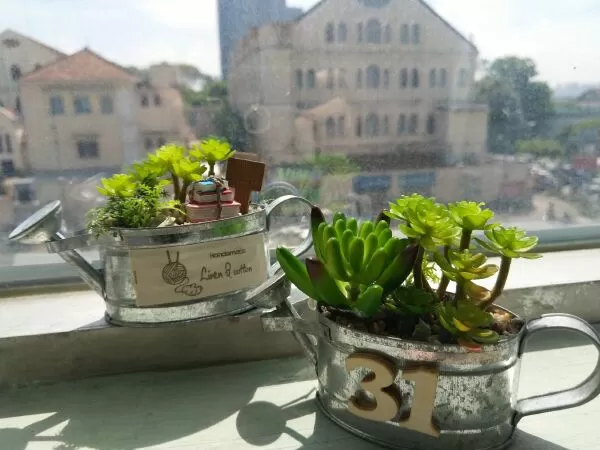 Cách tưới nước