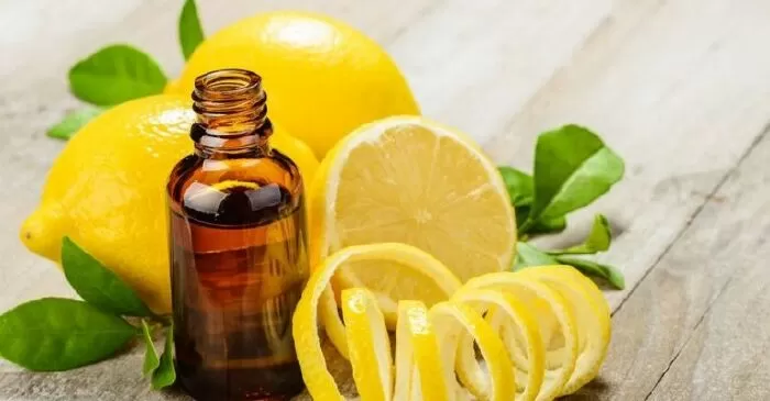 Sử dụng tinh dầu đuổi muỗi