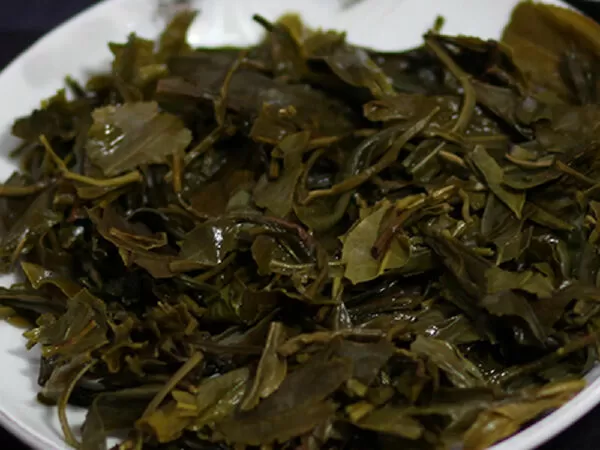 Đuổi muỗi bằng bả trà