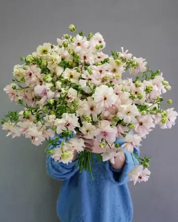 Tiệm Hoa Métaphore - Flower Boutique