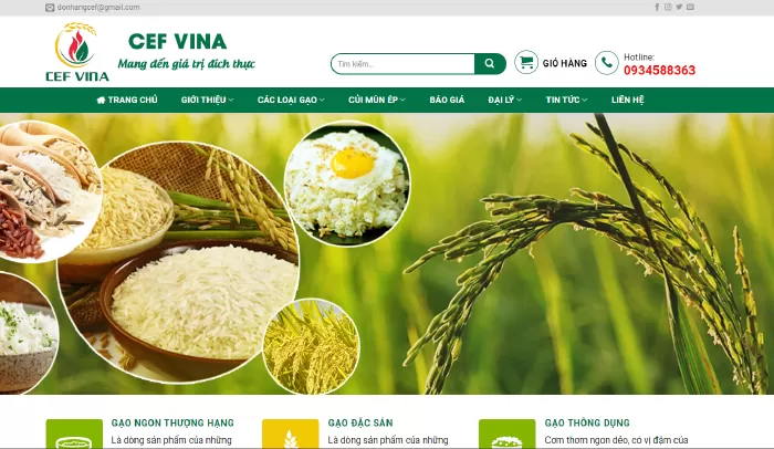 Công ty CEF Việt Nam