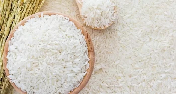 Kigitraco - Công Ty CP Nông Sản Kiên Giang