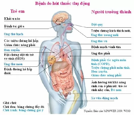 Không hút thuốc, hạn chế tiếp xúc với những người hút thuốc