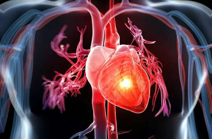 Giảm nguy cơ mắc bệnh tim