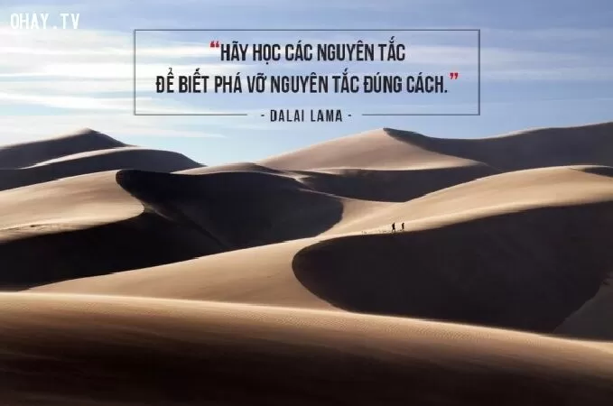 Phá vỡ các quy tắt