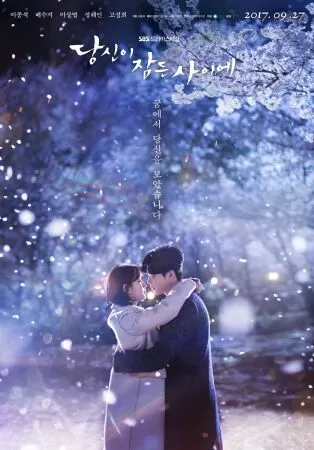 Khi nàng say giấc (While you were sleeping)