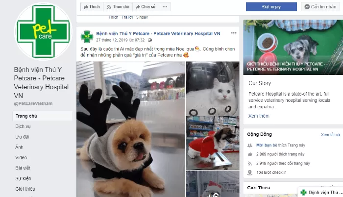 Bệnh Viện Thú Y PETCARE