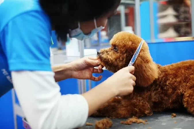 Pet Mart