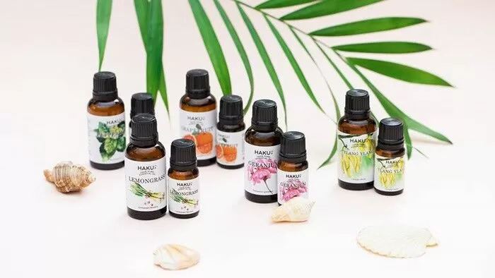 Top 20 cách giúp bạn diệt kiến hiệu quả nhất