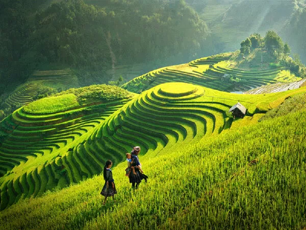 Công ty du lịch Bốn mùa