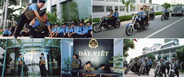 Công ty bảo vệ Đất Việt
