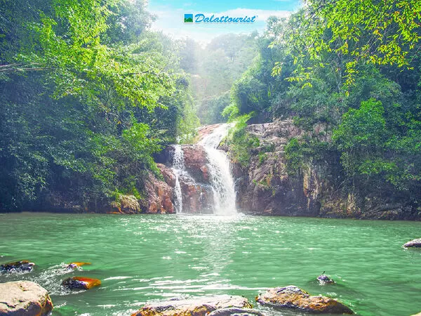 Công ty cổ phần du lịch Lâm Đồng - Dalattouris