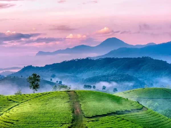 Công ty cổ phần Viettravel Đà Lạt