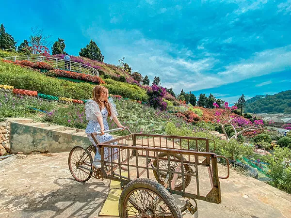 Công ty TNHH du lịch Đà Lạt Trong Tôi