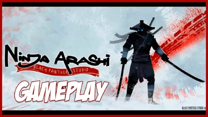 Ninja Arashi